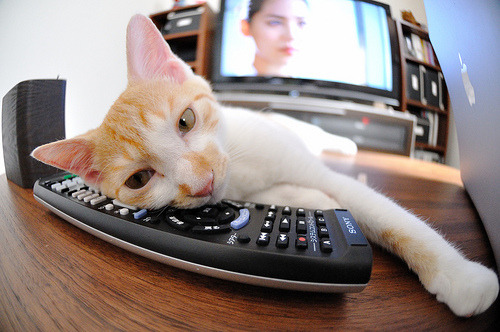 西决生死战之夜,德罗赞一扣定江山