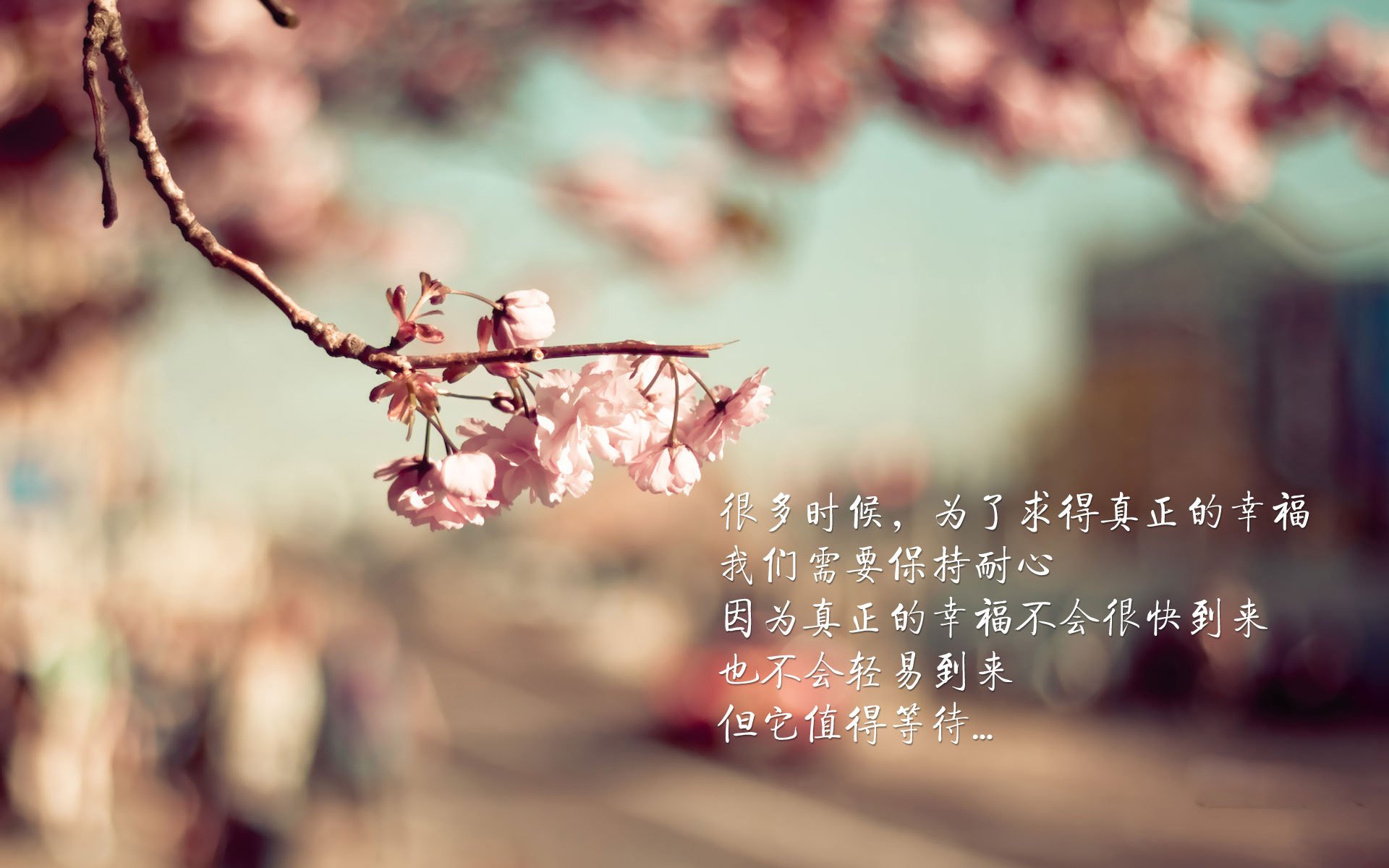 剑指巅峰，一场锁定欧洲王座的六分之战战术完控，巨星闪耀，法国在焦点战中完胜荷兰，世界排名争夺战抢占绝对先机