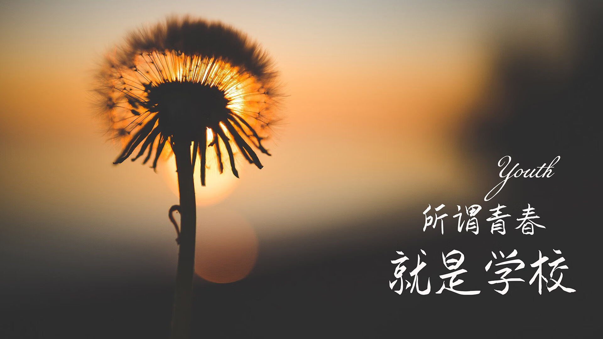 利剑折戟，斗牛士的黄昏，费利克斯刺穿伊比利亚德比，血腥斗兽场唯一生存法则